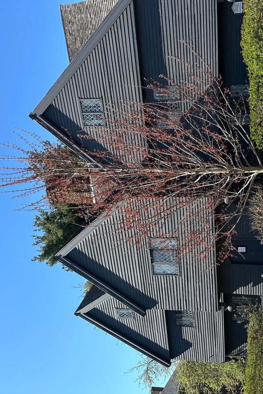 salem-ma-merchants-mansions-an-architecture-tour