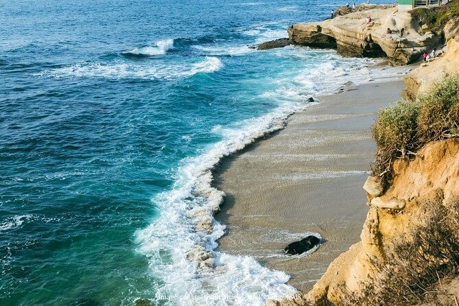 san-diego-in-a-day-private-full-day-highlights-driving-tour