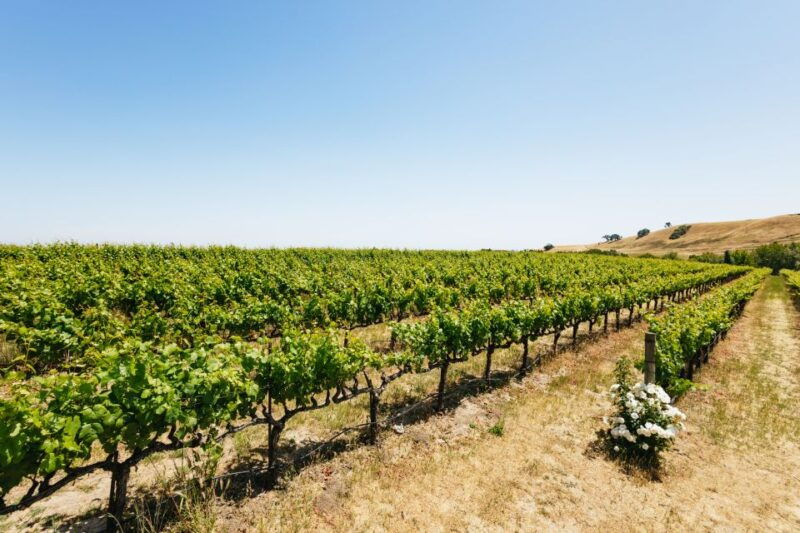 san-francisco-muir-woods-napa-sonoma-valley-wine-tour