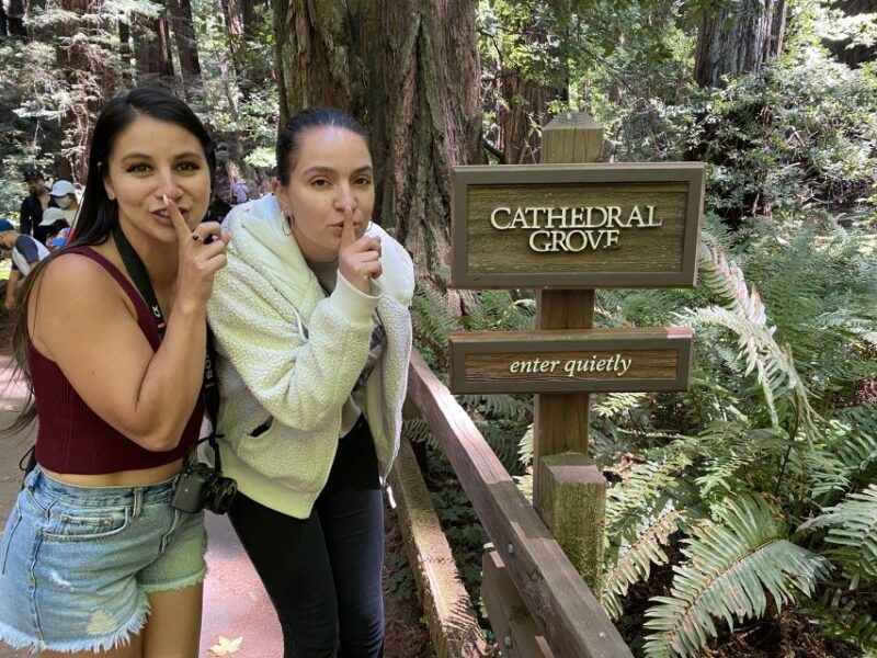 san-francisco-tour-to-muir-woods-giant-redwoods-sausalito