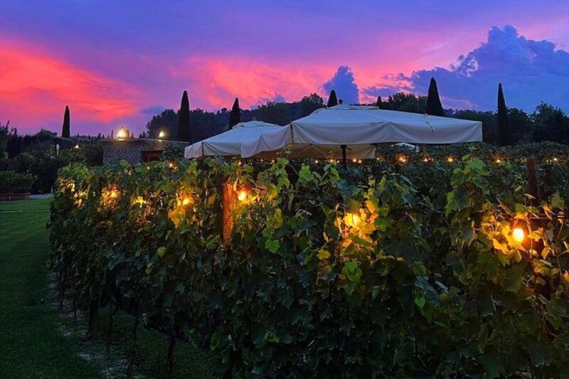 san-gimignano-romantic-vineyard-dinner