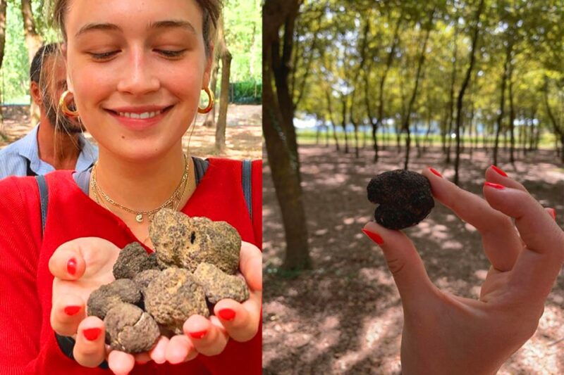 san-gimignano-truffle-hunting-with-lunch-wine-tasting