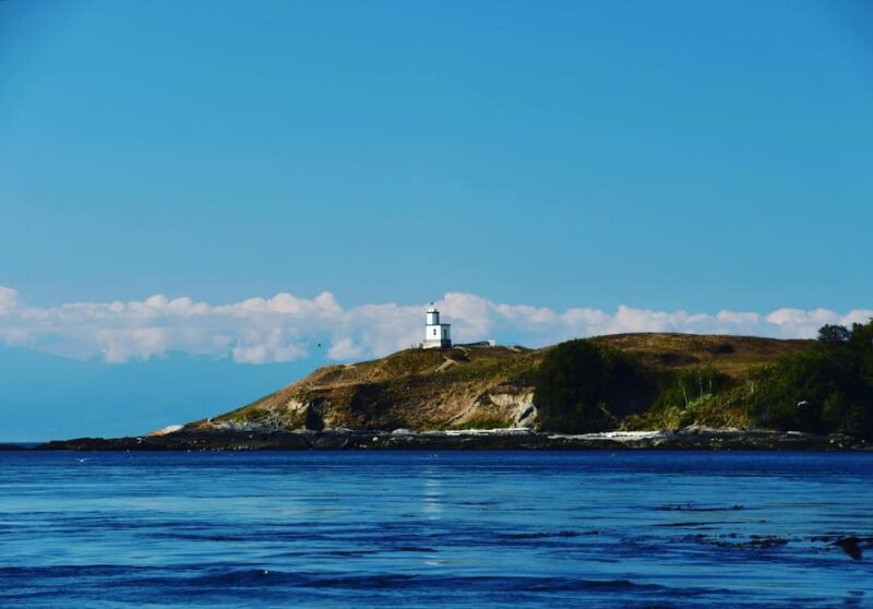 san-juan-islands-3-day-kayak-and-camping-adventure