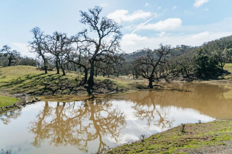 san-luis-obispo-santa-lucia-guided-nature-tour