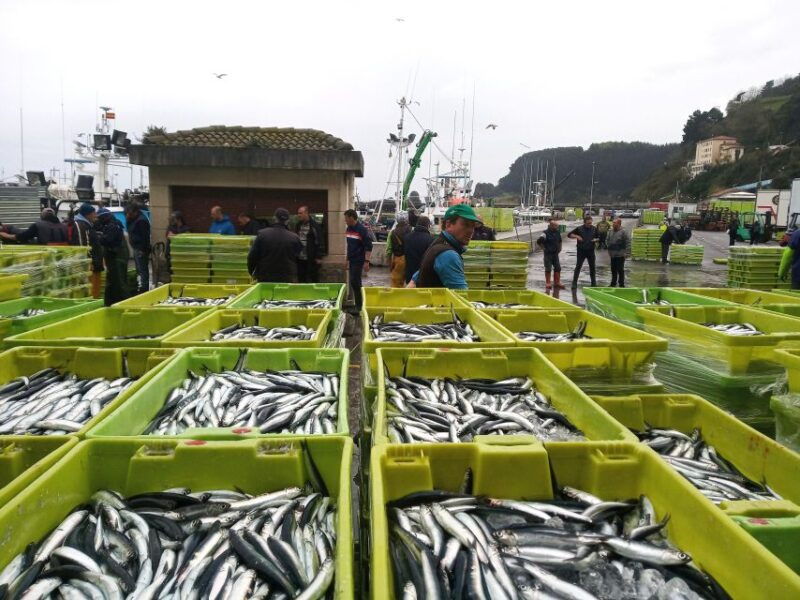san-sebastian-coast-seafood-and-wine-tour