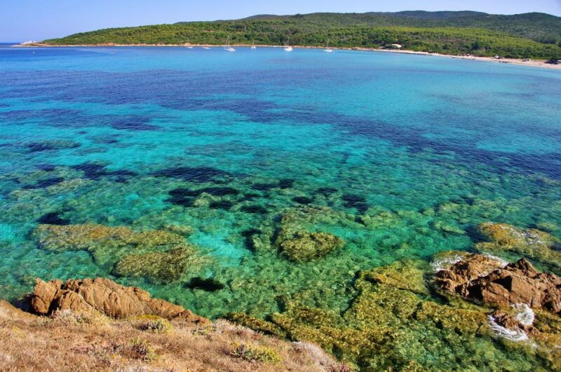 sanguinaires-islands-tour-capo-di-feno