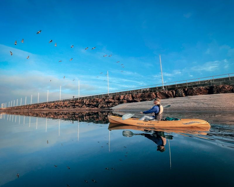 santa-barbara-harbor-sunset-kayak-tour-2-hours