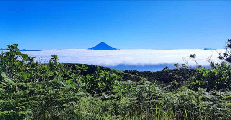 sao-jorge-island-forest-reserve-fajas-guided-tour
