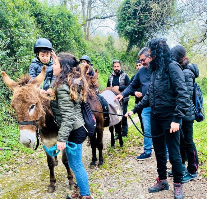 sassari-hiking-with-donkeys-in-cargeghe-and-aperitif