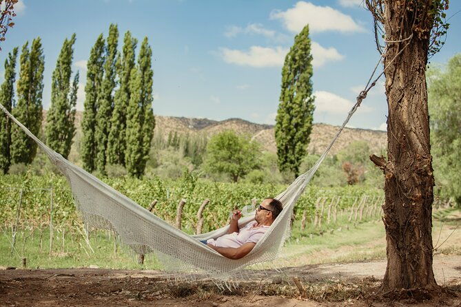 savoring-lujan-de-cuyo-a-culinary-and-wine-exploration