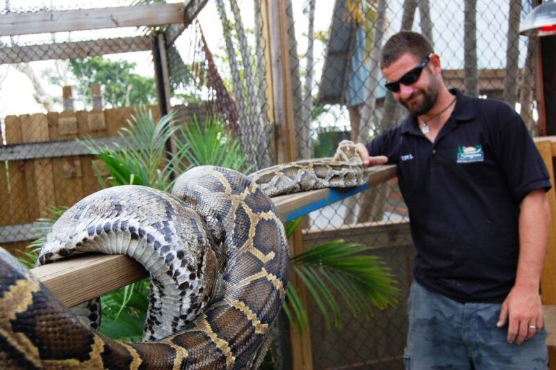 sawgrass-park-private-1-hour-airboat-adventure-tour