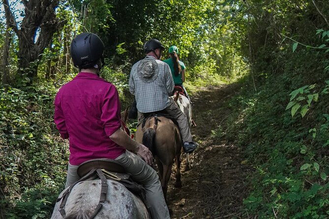 scenic-horseback-ride-in-tropical-mountain-reserve