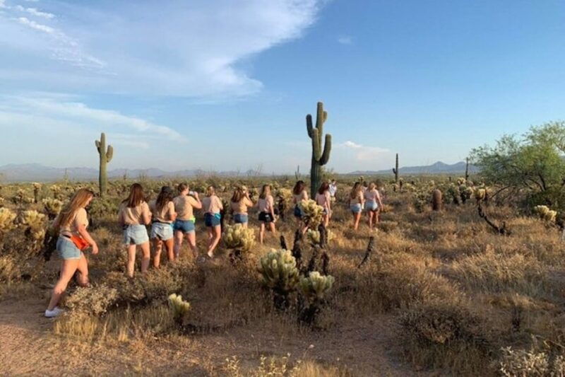 scottsdale-mcdowell-sonoran-preserve-hiking-tour