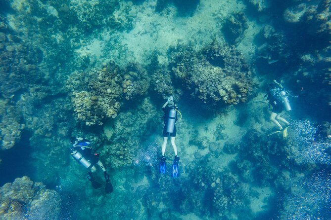 scuba-dive-in-the-west-end-of-roatan-with-private-transfer