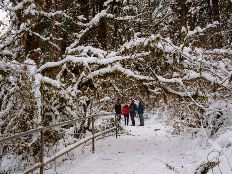 seattle-longmire-in-mount-rainier-winter-day-tour