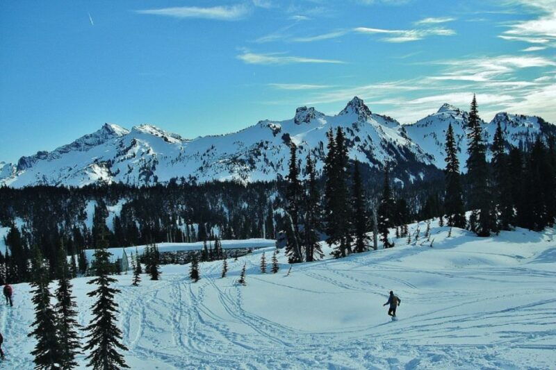 seattle-mount-rainier-park-all-inclusive-small-group-tour