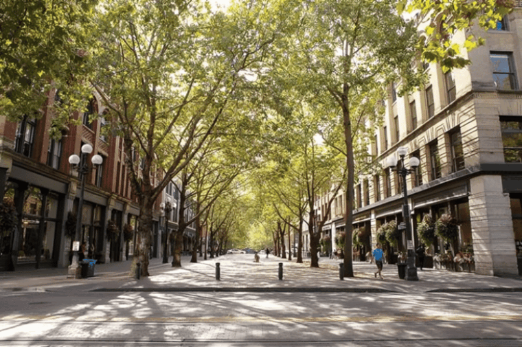 seattle-must-see-attractions-walking-tour-with-a-guide