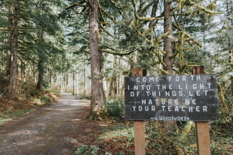 seattle-waterfall-wonderland-hike-in-wallace-falls-park