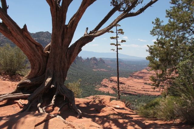 sedona-private-2-hour-colorado-plateau-scenic-jeep-tour-2