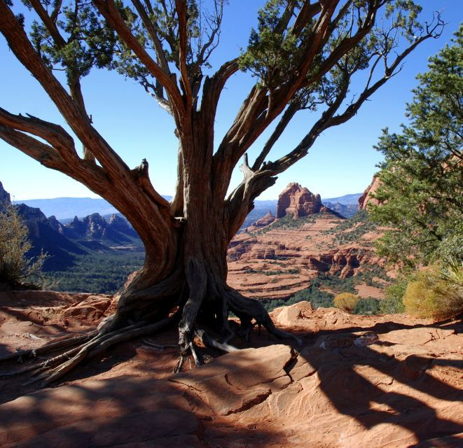 sedona-private-2-hour-colorado-plateau-scenic-jeep-tour