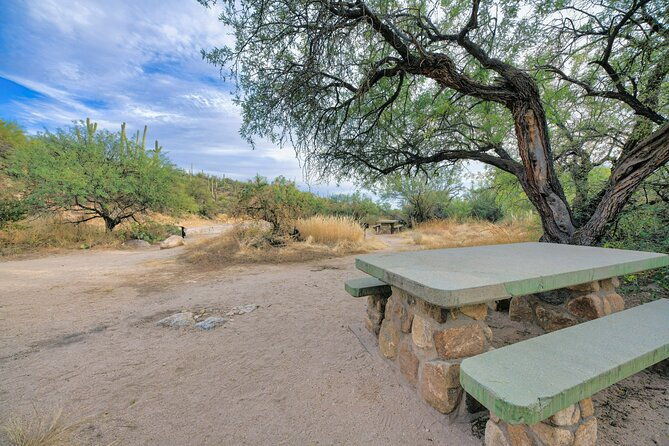 self-guided-driving-audio-tour-of-saguaro-national-park