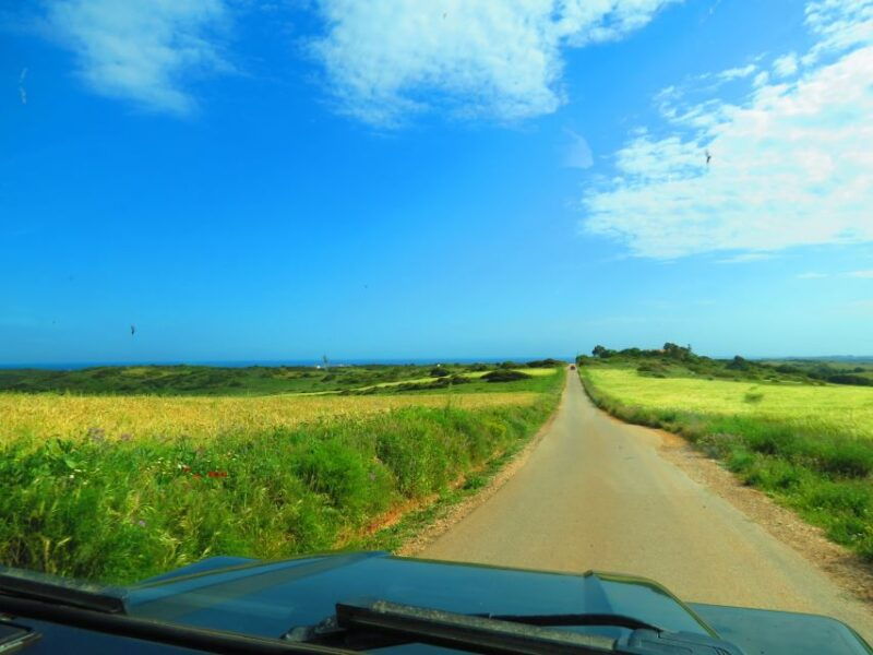 serra-de-monchique-bravura-half-day-off-road-day-trip
