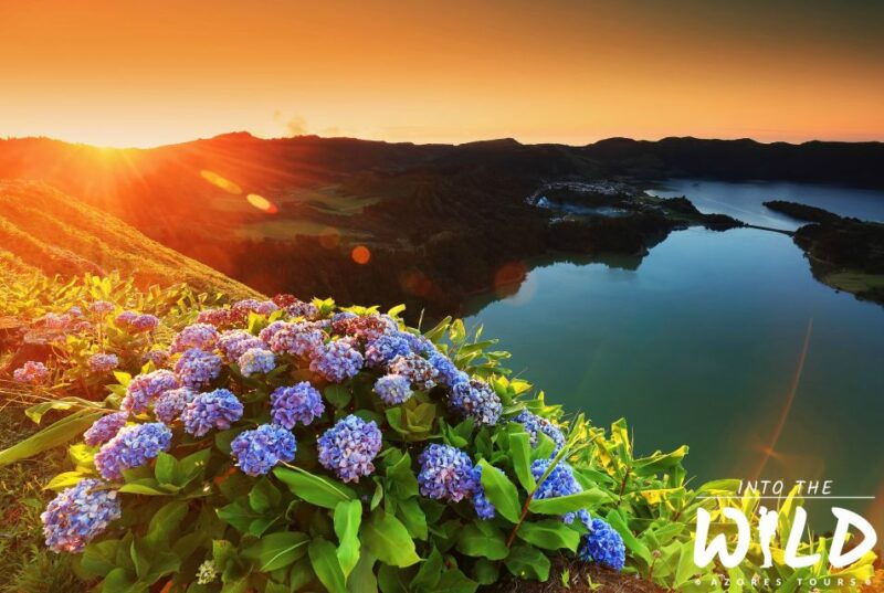 sete-cidades-lagoa-do-fogo-full-day-tour-2