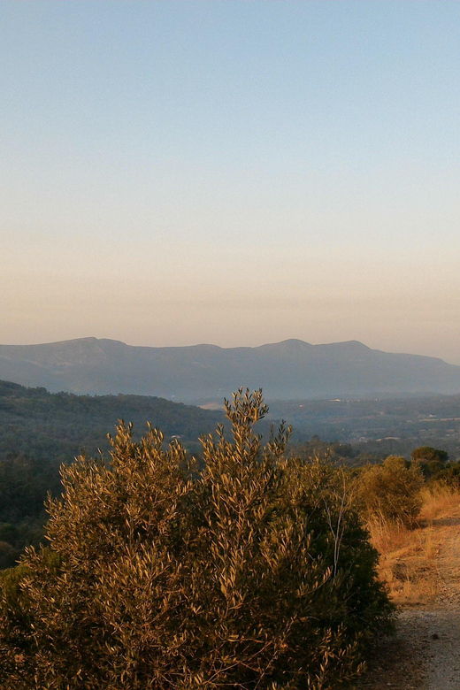 setubal-romantic-picnic-sunset-wine-experience