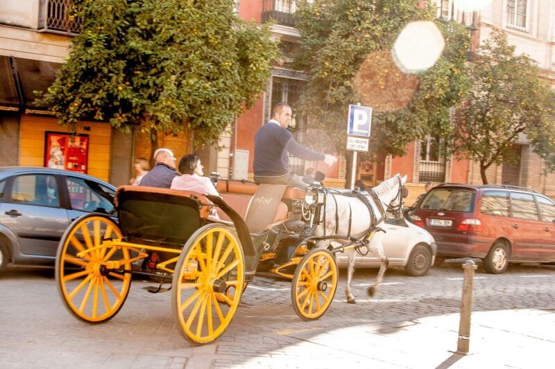 seville-authentic-and-romantic-horse-drawn-carriage-ride