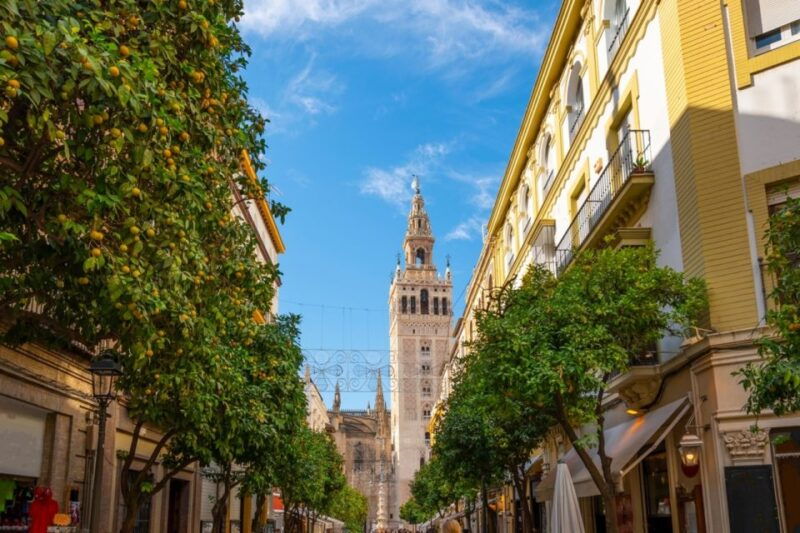 seville-barrio-de-santa-cruz-small-group-walking-tour