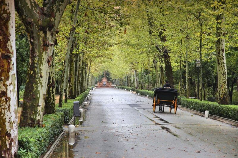 seville-private-e-bike-city-highlights-tour