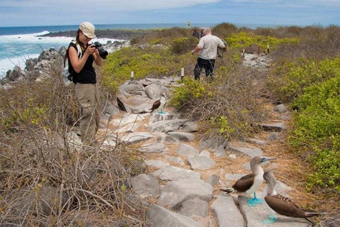 seymour-north-island-las-bachas-full-day-tour