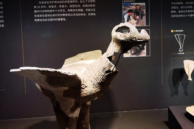 shaanxi-archaeological-museum-english-speaking-guide-service
