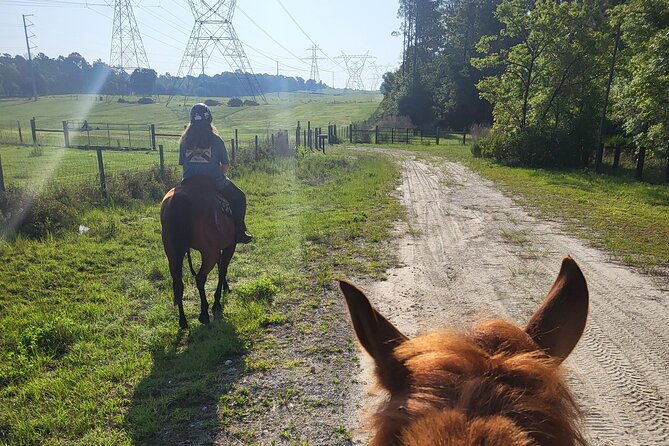 shaded-trails-horse-ride