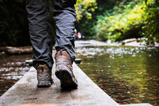 shaka-guide-redwood-national-park-audio-tour-guide