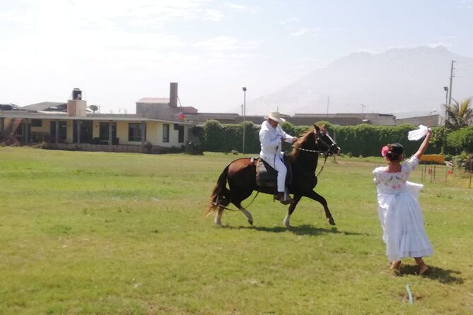 shore-excursion-from-salaverry-marinera-city-tour-in-trujillo