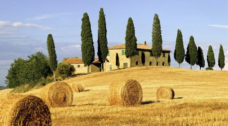 shore-trip-from-la-spezia-pisaluccalunch-tasting-winery