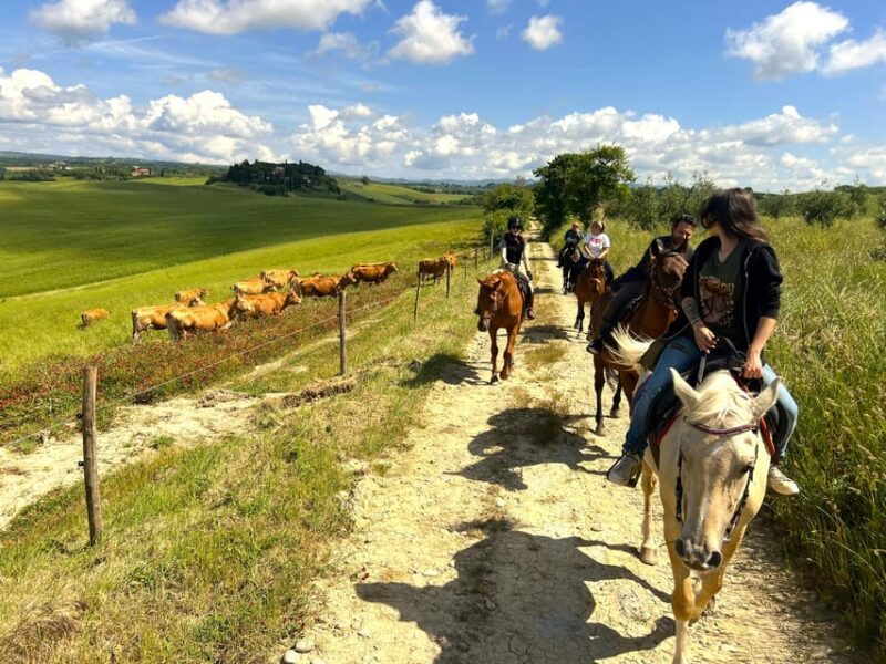 siena-horseback-riding-with-siena-in-the-background