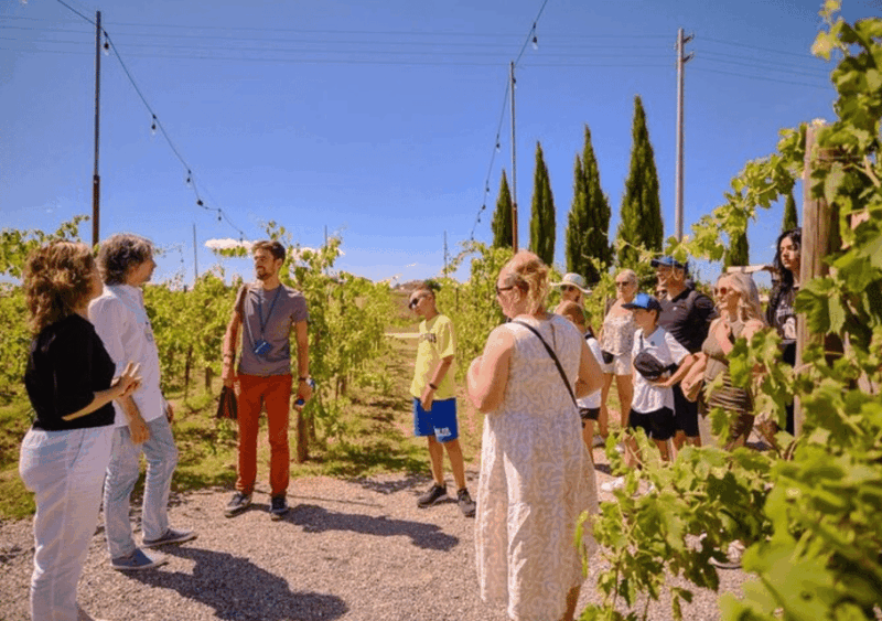 siena-pisa-san-gimignano-tour-with-lunch-and-wine-tasting