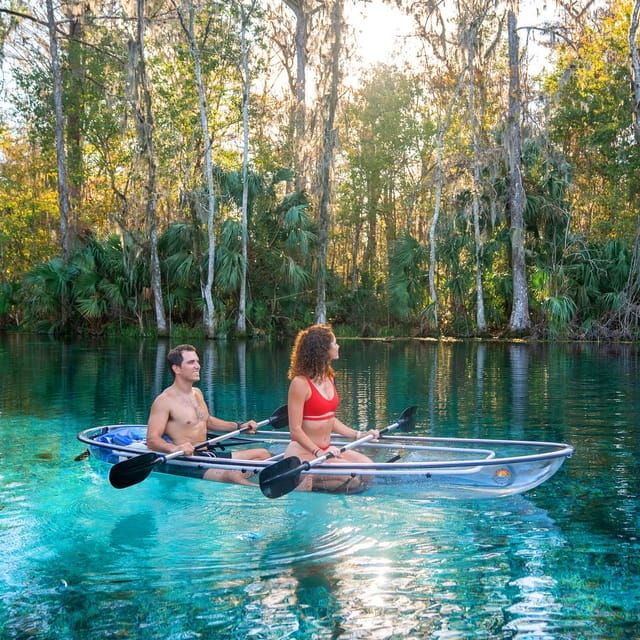 silver-springs-clear-kayak-wildlife-tour