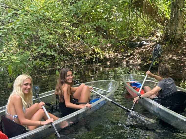 silver-springs-guided-clear-kayak-or-paddleboard-gator-tour