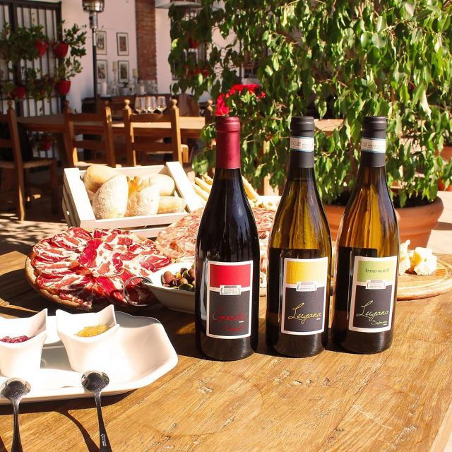 sirmione-vineyard-tour-with-lugana-wines-and-local-tastings