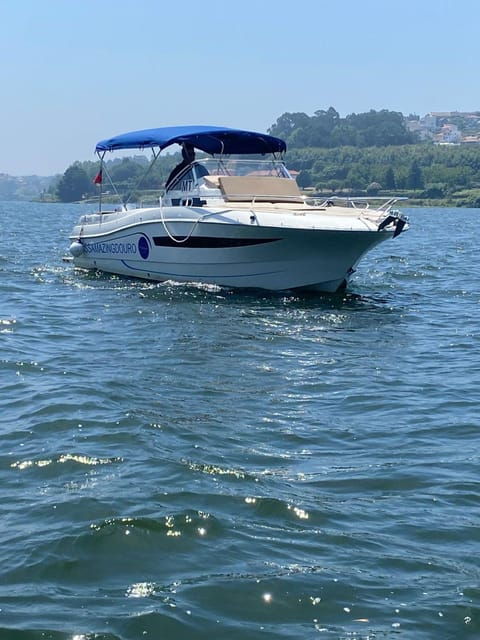 six-bridges-private-boat-cruise-in-porto