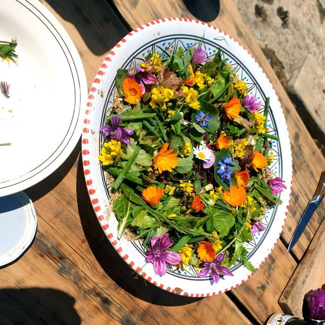 slowlife-family-farm-from-garden-to-table
