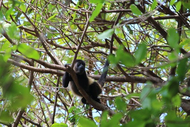 small-group-expedition-of-ometepe-highlights-with-el-ceibo-museum