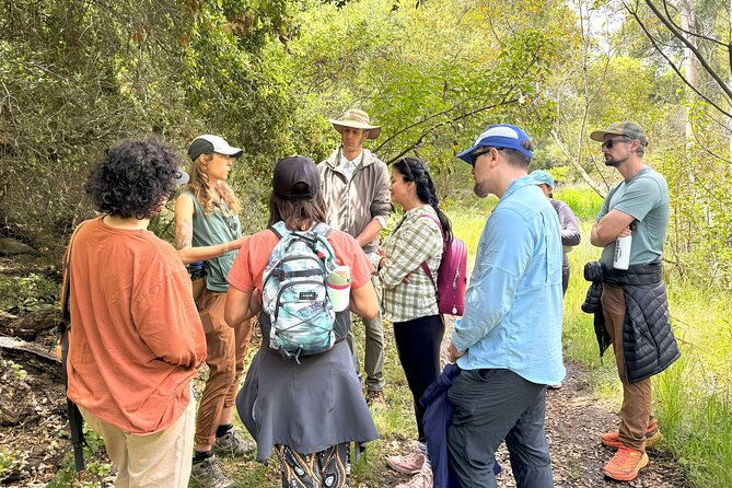 small-group-hike-through-san-diegos-heart-and-soul