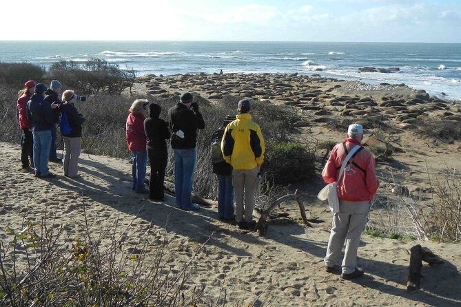smartphone-driving-tour-between-santa-maria-monterey-big-sur
