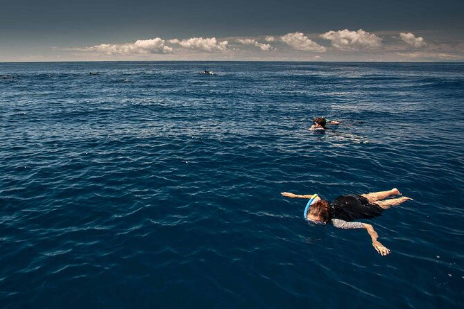 snorkeling-experience-in-terceira-island