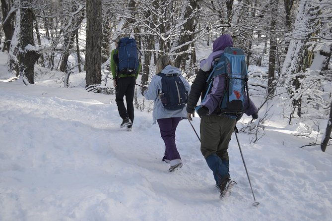 snow-excursion-in-bariloche-suitable-for-the-whole-family