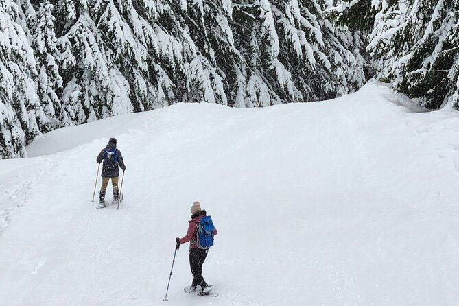snowshoeing-at-crystal-mountain-by-mount-rainier